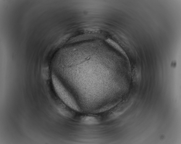 X0000100750224200807031343