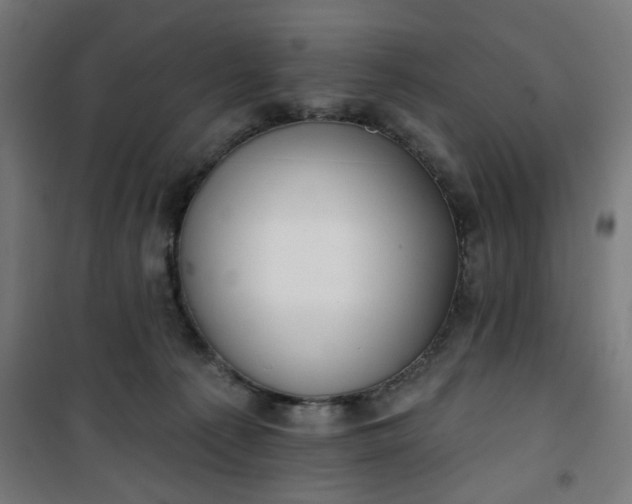 X0000100750225200807031343