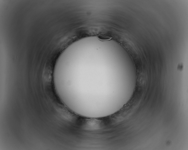 X0000100750226200807031343