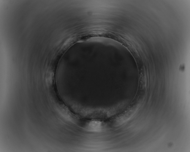 X0000100750227200807031343