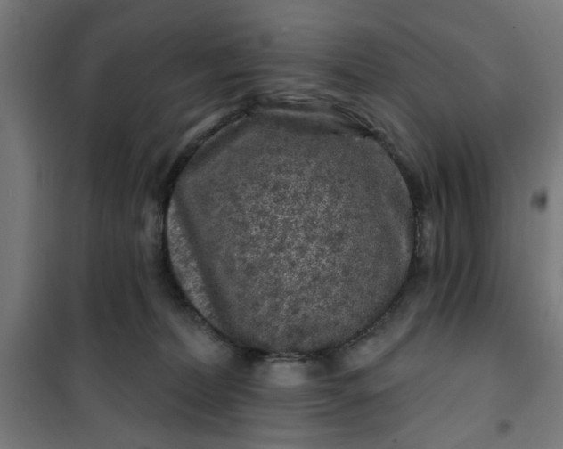 X0000100750228200807031343