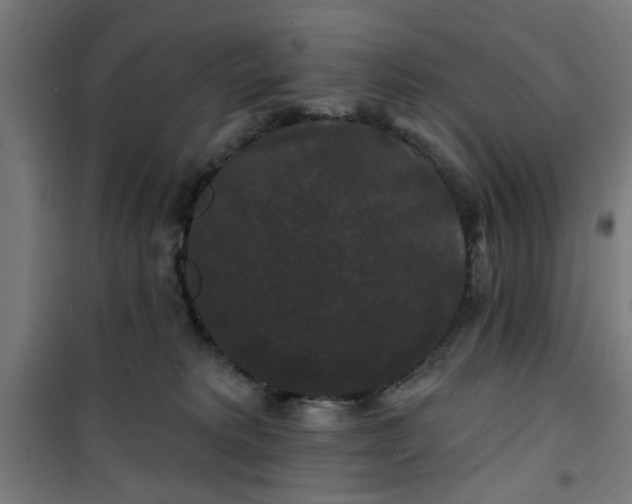 X0000100750229200807031343