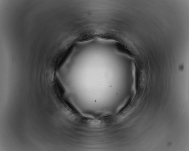 X0000100750230200807031343