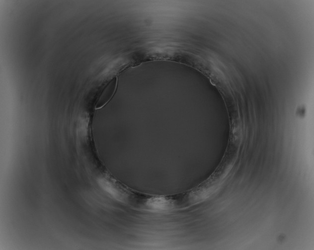 X0000100750231200807031343