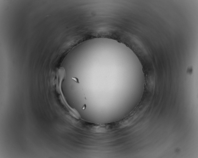 X0000100750232200807031343