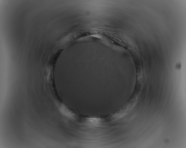 X0000100750233200807031343