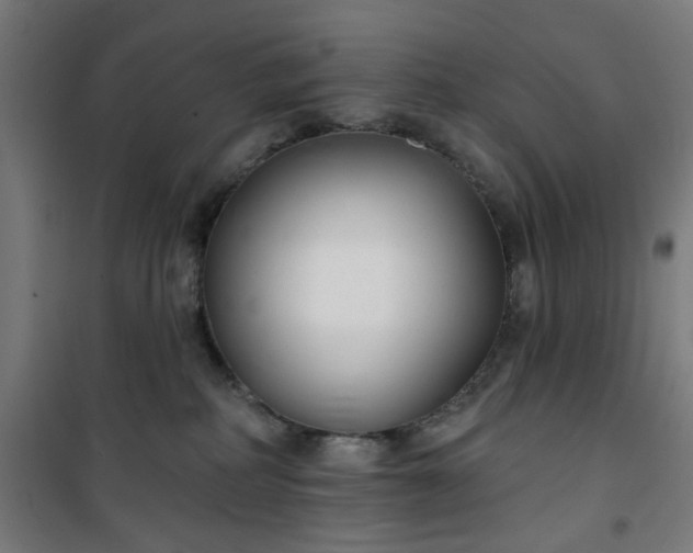 X0000100750234200807031343