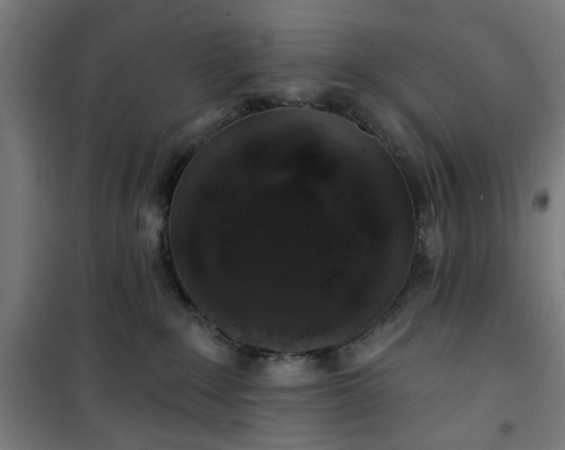 X0000100750235200807031343