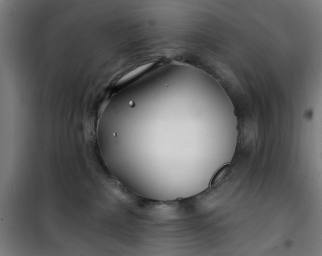 X0000100750236200807031343