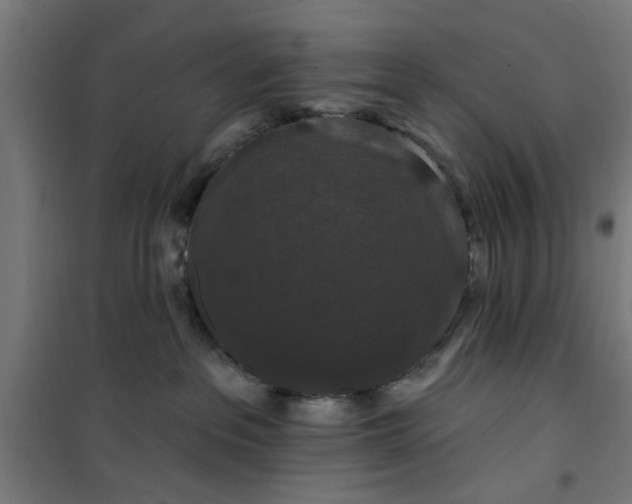 X0000100750237200807031343