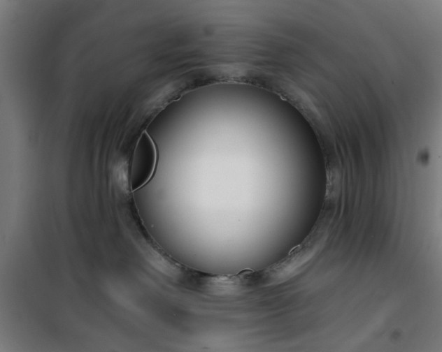 X0000100750238200807031343