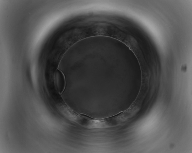 X0000100750239200807031343