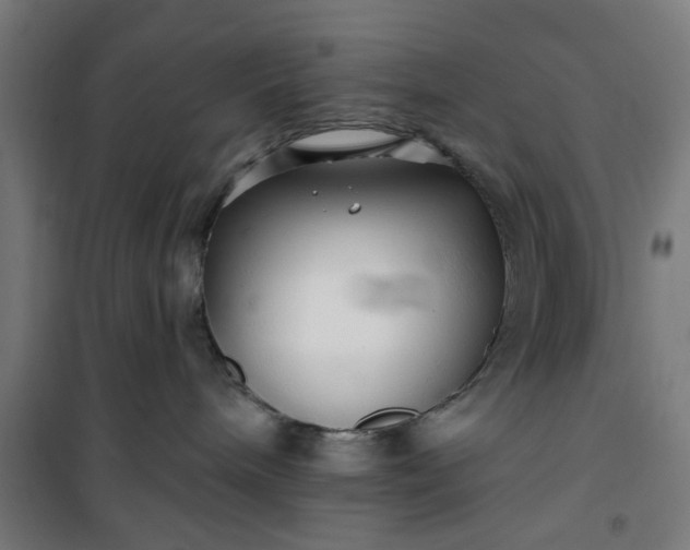 X0000100750240200807031343