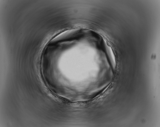 X0000100750241200807031342