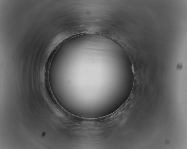 X0000100750242200807031342