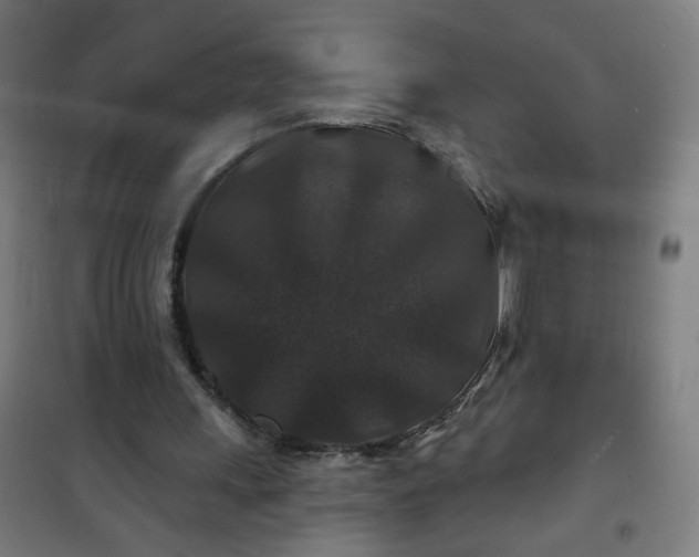 X0000100750243200807031342