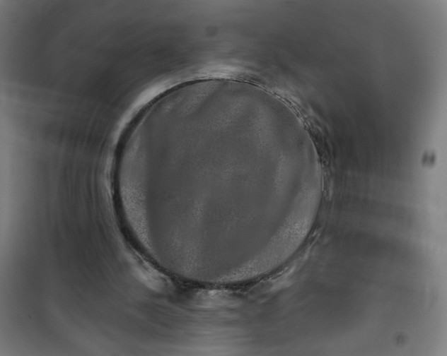 X0000100750244200807031342