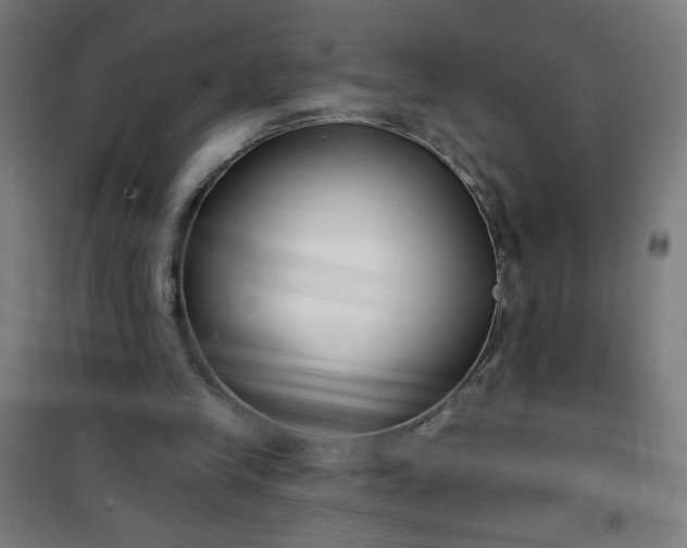 X0000100750245200807031342