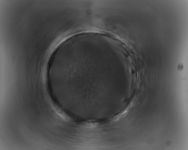 X0000100750247200807031342