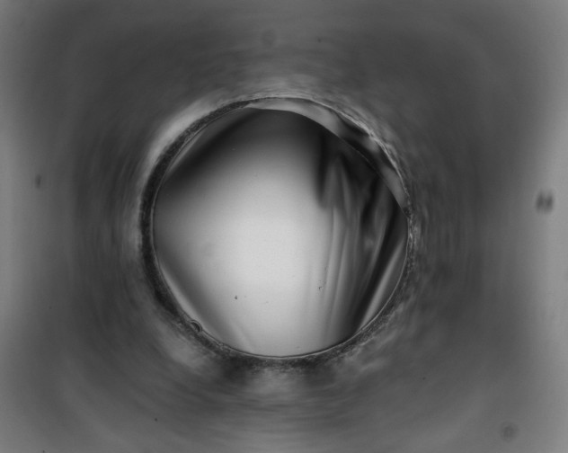 X0000100750248200807031342