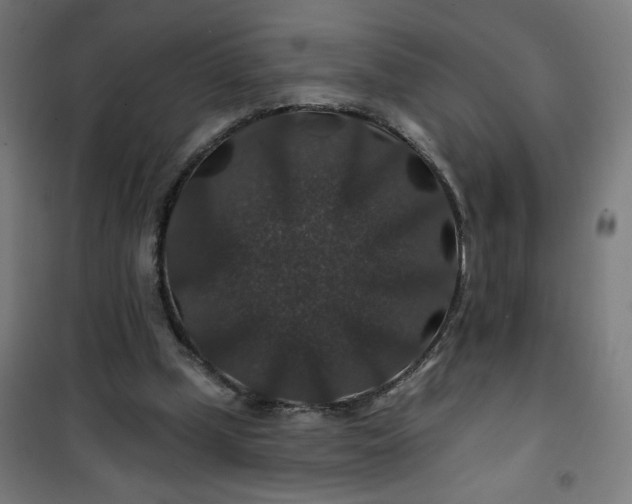 X0000100750249200807031342