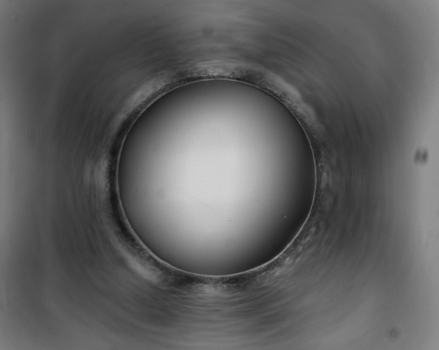 X0000100750250200807031342