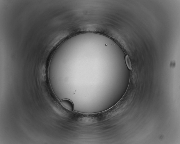 X0000100750251200807031342