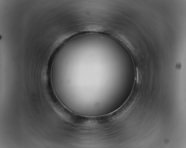 X0000100750252200807031342