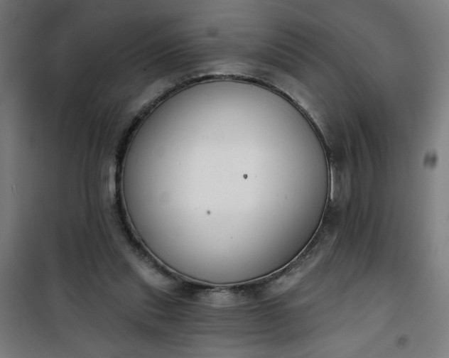 X0000100750253200807031342