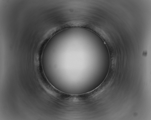 X0000100750254200807031342