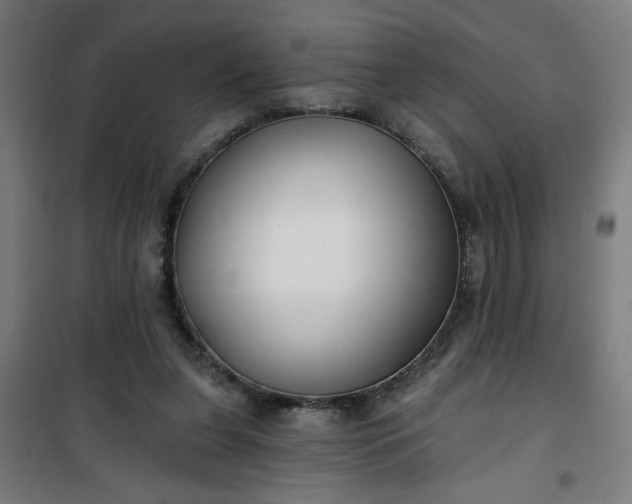 X0000100750255200807031342