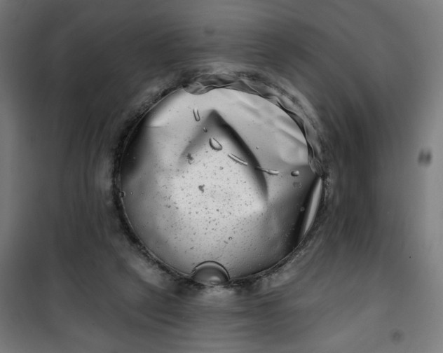 X0000100750257200807031342