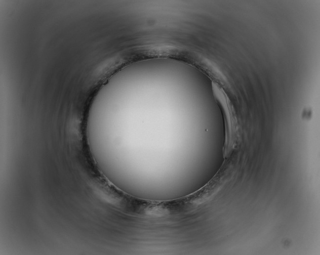 X0000100750258200807031342