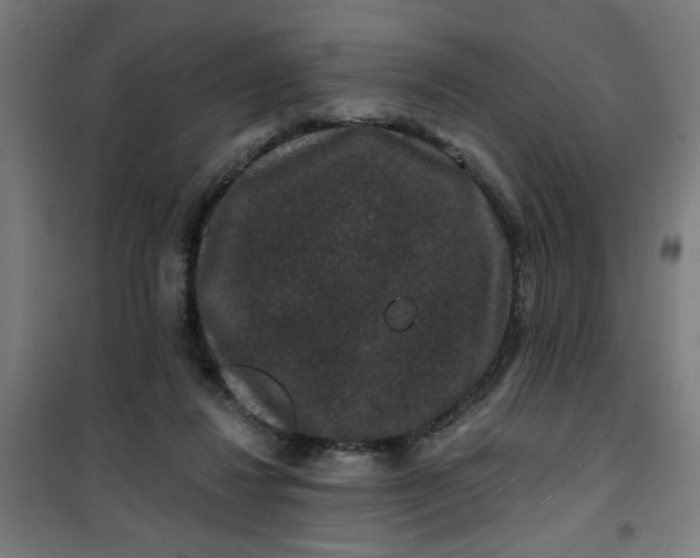 X0000100750260200807031343