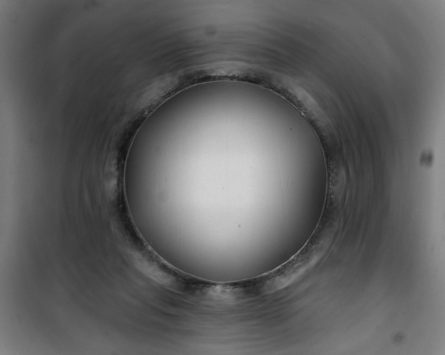 X0000100750261200807031343