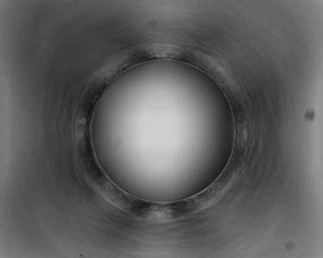 X0000100750263200807031343