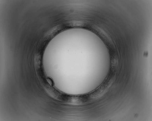 X0000100750264200807031343