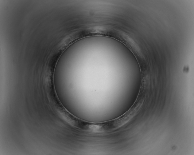 X0000100750265200807031343