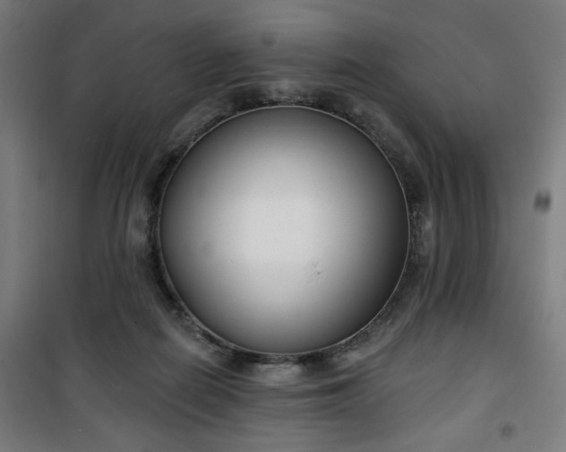 X0000100750266200807031343