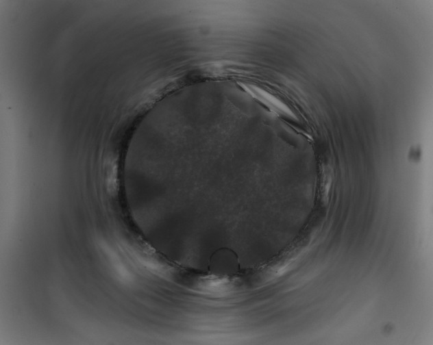 X0000100750267200807031343