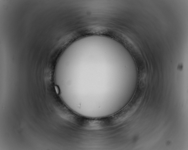 X0000100750268200807031343