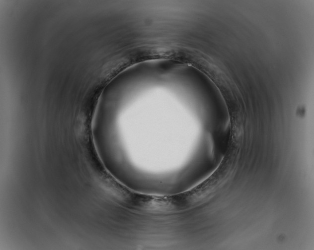 X0000100750270200807031343