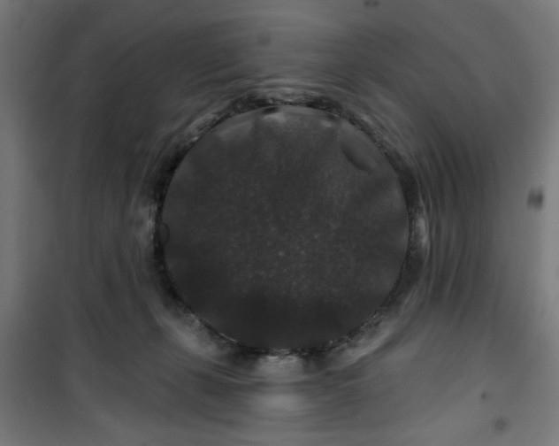 X0000100750271200807031343