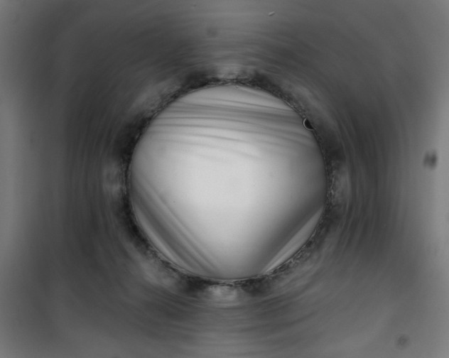 X0000100750272200807031343