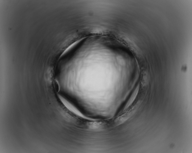 X0000100750273200807031343