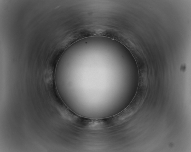 X0000100750274200807031343