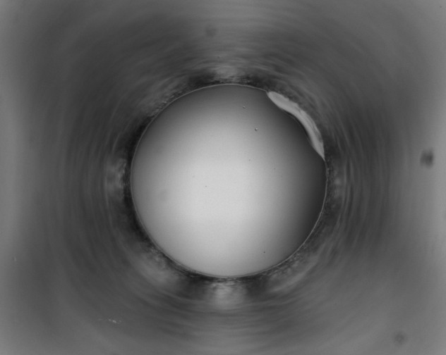 X0000100750275200807031343