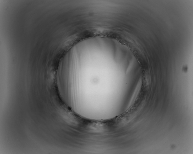 X0000100750276200807031343