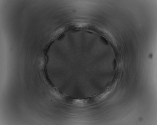 X0000100750277200807031343