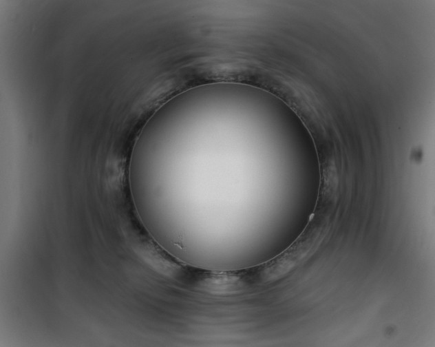 X0000100750278200807031343